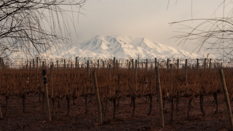Antigal Winery & Estates recibió el galardón de Wine Enthusiast
