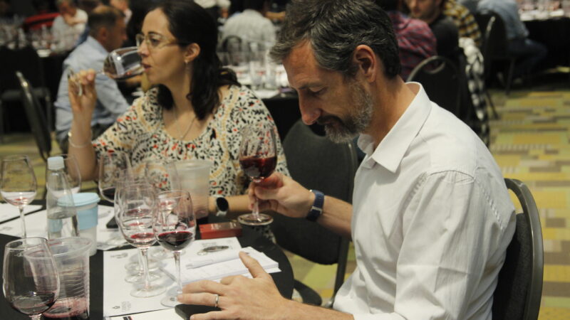 Diez años del Concurso donde los Enólogos eligen al Winemaker del año