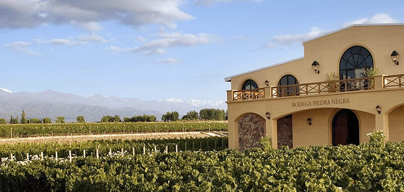 Bodega Piedra Negra invita a vivir la región de los Chacayes con variadas propuestas de Enoturismo